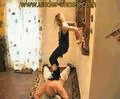 Miss Laurie Extreme Body Punishement Hard Video